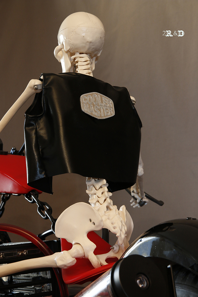 skull_rider_2r_final_skeleton_back.JPG